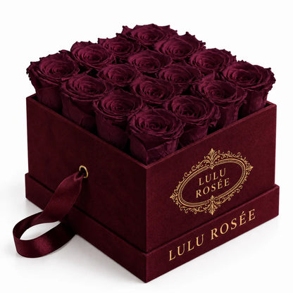 Burgundy preserved roses in a burgundy velvet LULU ROSÉE medium square box on a white background.