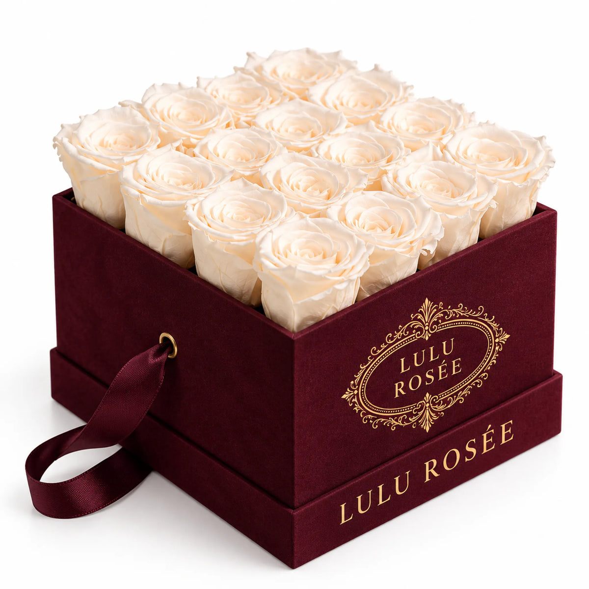 Champagne preserved roses in a burgundy velvet LULU ROSÉE medium square box, velvet detail.
