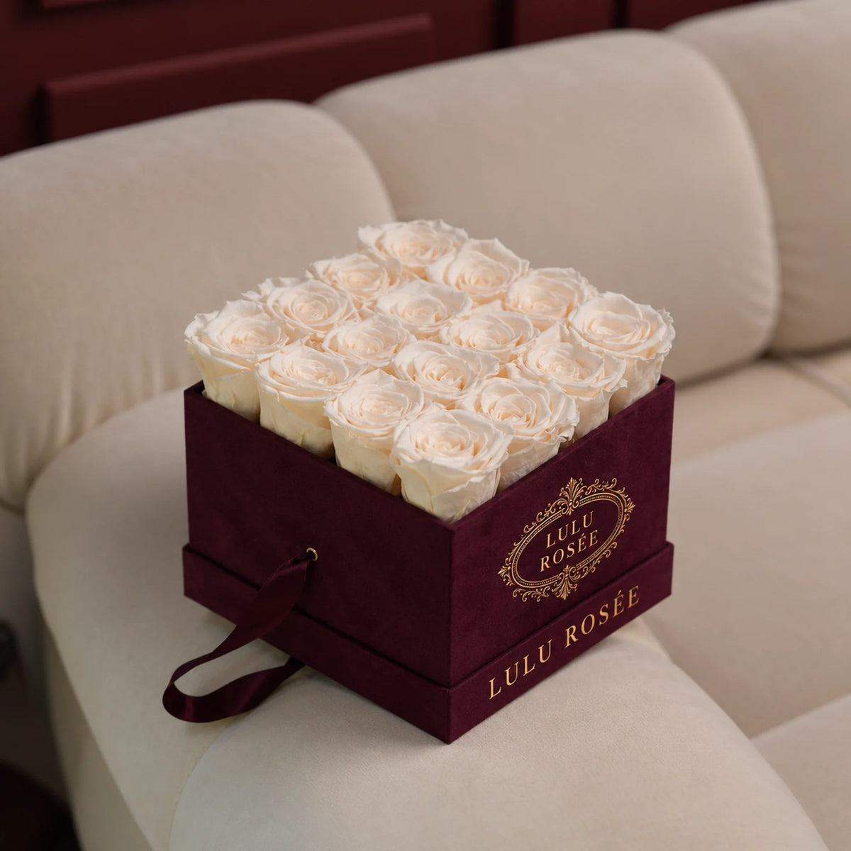 Champagne preserved roses in a burgundy velvet LULU ROSÉE medium square box, velvet lifestyle.