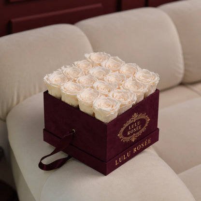 Champagne preserved roses in a burgundy velvet LULU ROSÉE medium square box, velvet lifestyle.