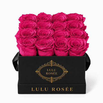 Hot pink preserved roses in a black classic LULU ROSÉE medium square box on a white background.