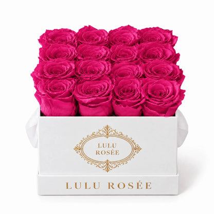 Hot pink preserved roses in a white classic LULU ROSÉE medium square box on a white background.