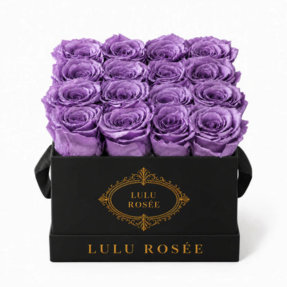 Lavender preserved roses in a black classic LULU ROSÉE medium square box on a white background.