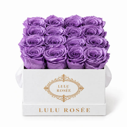 Lavender preserved roses in a white classic LULU ROSÉE medium square box on a white background.