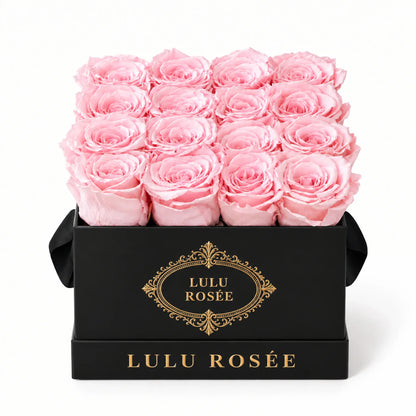 Light pink preserved roses in a black classic LULU ROSÉE medium square box on a white background.