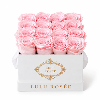 Light pink preserved roses in a white classic LULU ROSÉE medium square box on a white background.