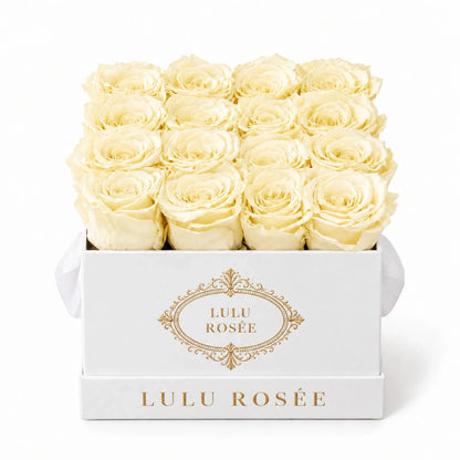 Light yellow preserved roses in a white classic LULU ROSÉE medium square box on a white background.