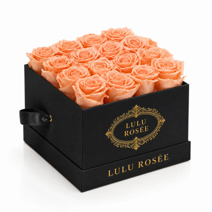 Orange preserved roses in a black classic LULU ROSÉE medium square box on a white background.