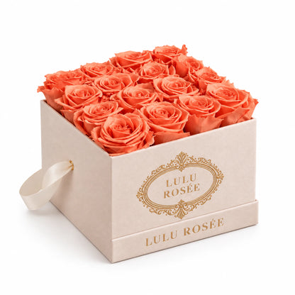 Orange preserved roses in a cream suede LULU ROSÉE medium square box on a white background.