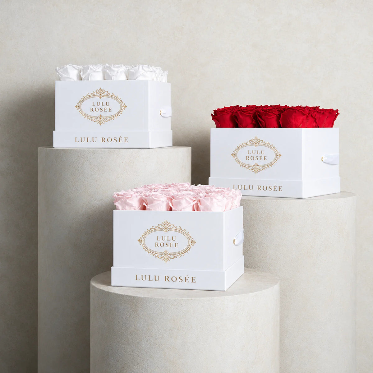 LULU ROSÉE medium square preserved rose boxes in complementary colors displayed together.
