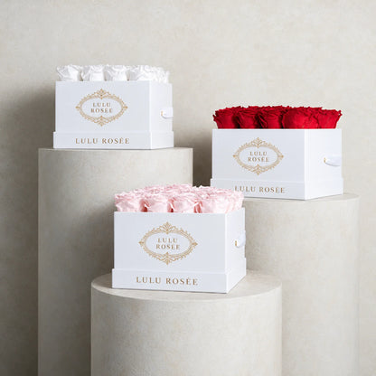 LULU ROSÉE medium square preserved rose boxes in complementary colors displayed together.