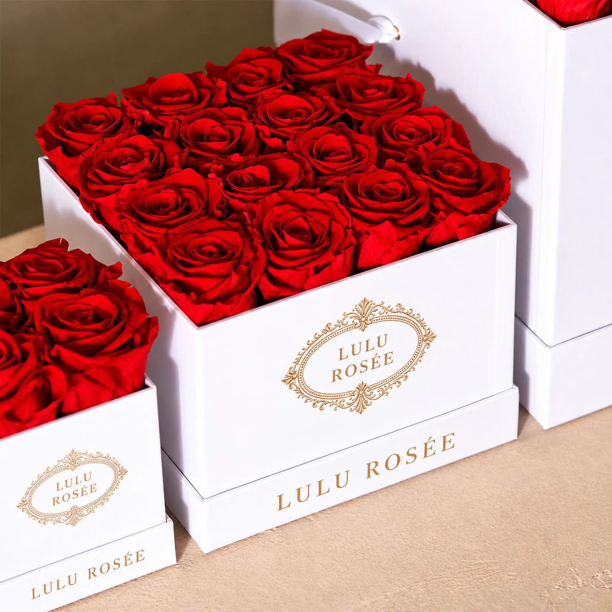 Red preserved roses in a white classic LULU ROSÉE medium square box, logo detail.