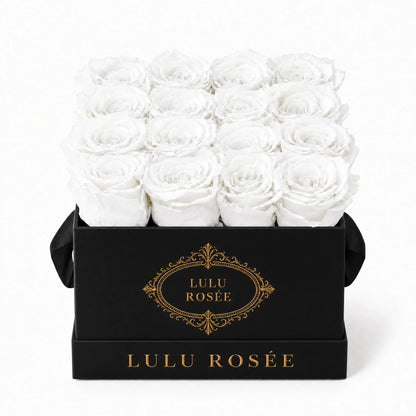 White preserved roses in a black classic LULU ROSÉE medium square box on a white background.