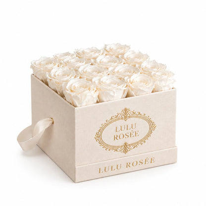 White preserved roses in a cream suede LULU ROSÉE medium square box on a white background.