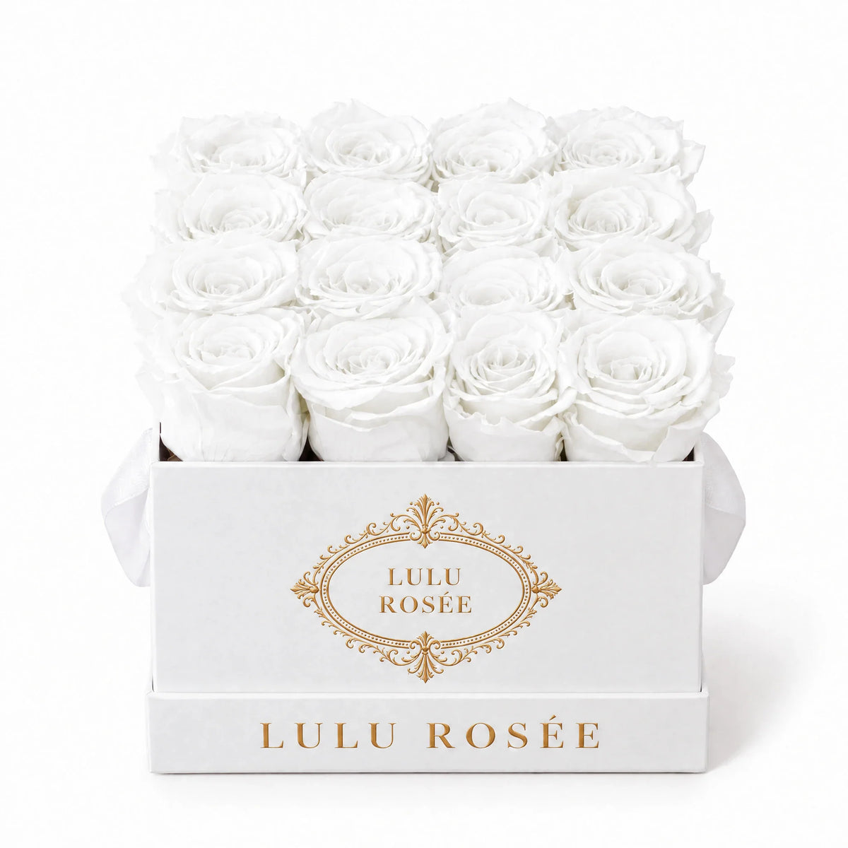 White preserved roses in a white classic LULU ROSÉE medium square box on a white background.