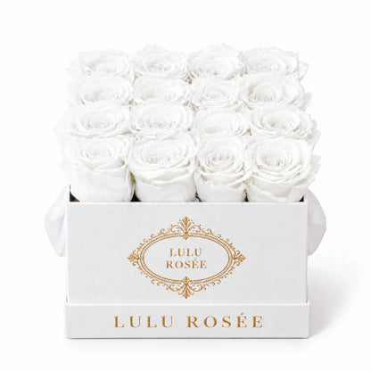 White preserved roses in a white classic LULU ROSÉE medium square box on a white background.