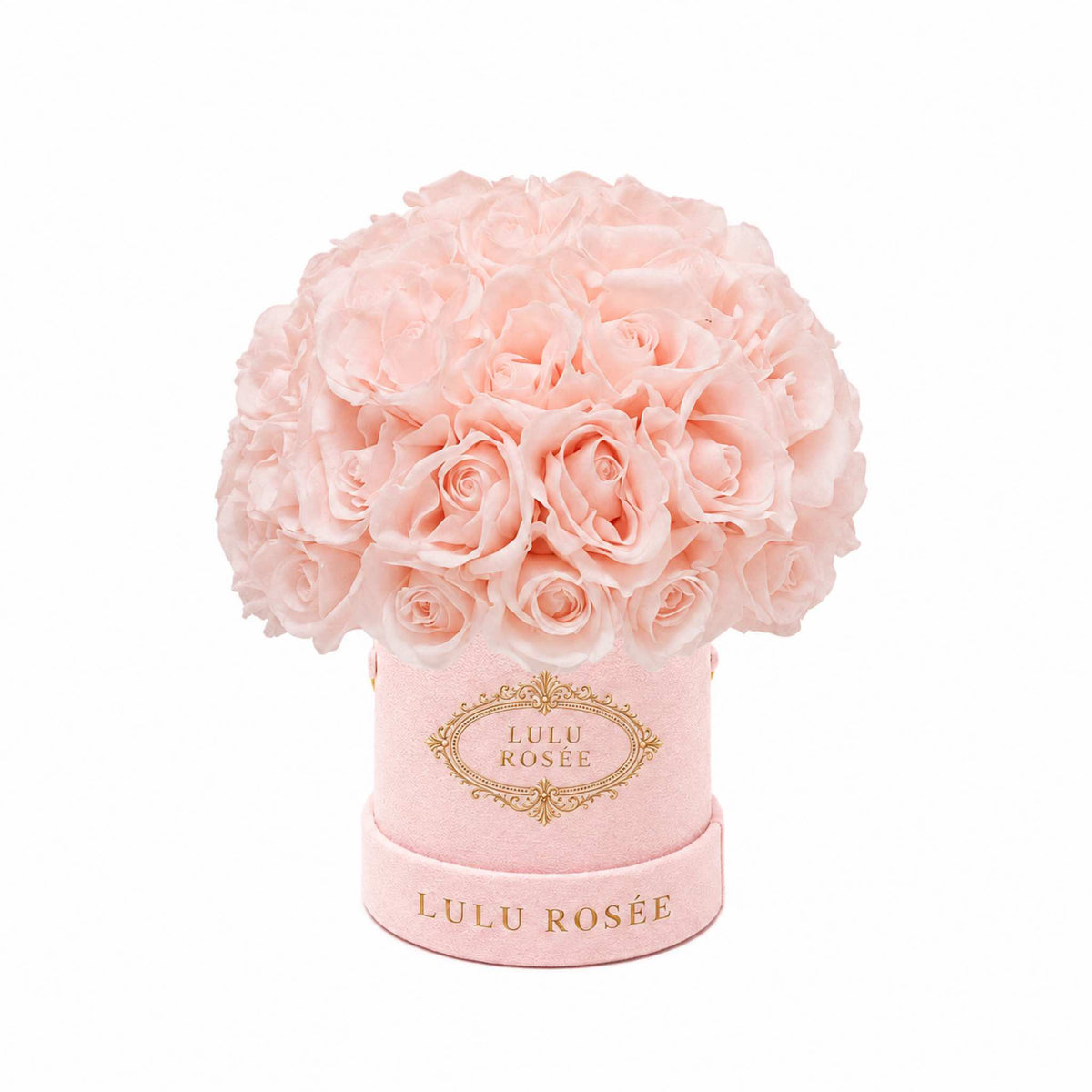 Blush eternal roses in a blush suede Mini Le Plein box on a white background.
