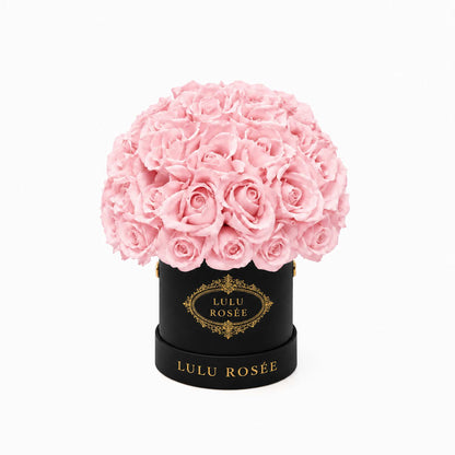 Light pink eternal roses in a black classic Mini Le Plein box on a white background.