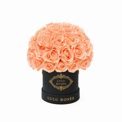 Orange eternal roses in a black classic Mini Le Plein box on a white background.