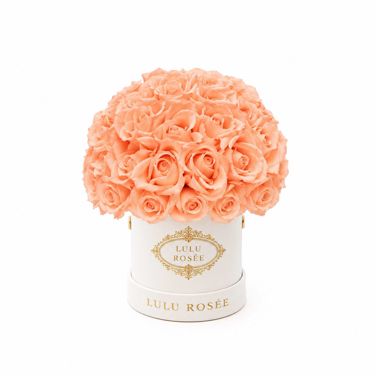 Orange eternal roses in a white classic Mini Le Plein box on a white background.