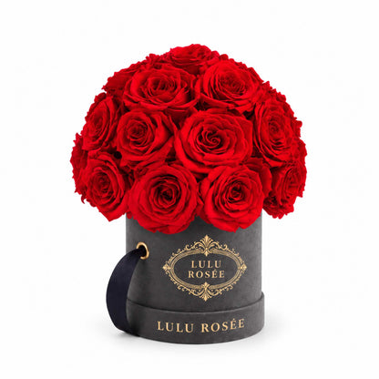 Red eternal roses in a black classic Mini Le Plein box on a white background.