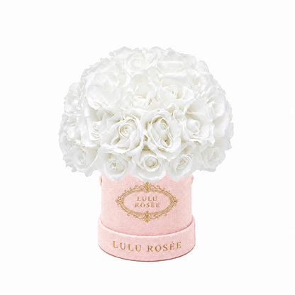 White eternal roses in a blush suede Mini Le Plein box on a white background.