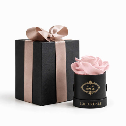 A light pink eternal rose in a black classic Mini Round box beside a wrapped gift box.