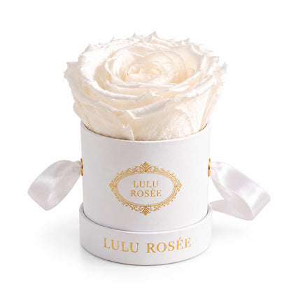 A white eternal rose in a white classic Mini Round box on a white background.