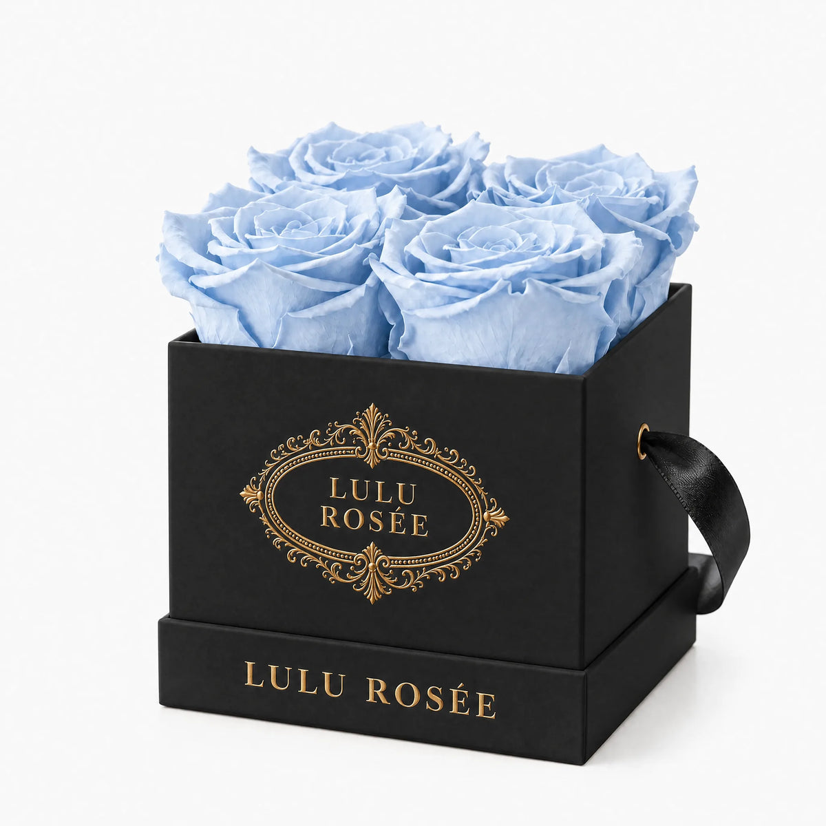 Black classic box with four baby blue preserved roses, on a white background
