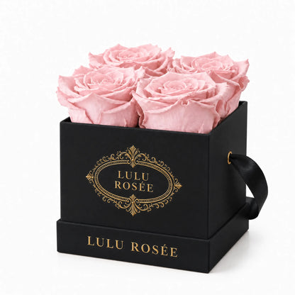 Black classic box with four light pink preserved roses, on a white background