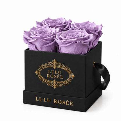 Black classic box with four light purple preserved roses, on a white background