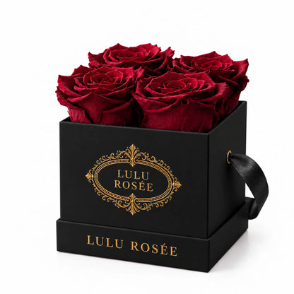 Black classic box with four red preserved roses, on a white background
