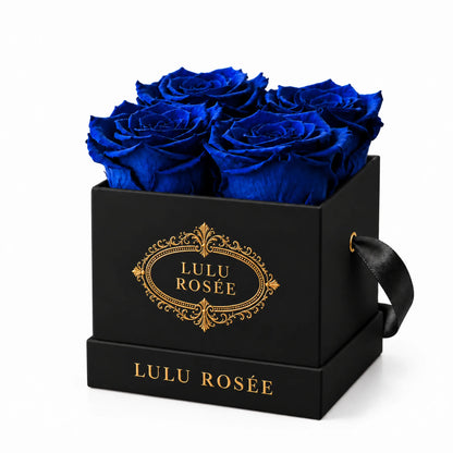 Black classic box with four royal blue preserved roses, on a white background