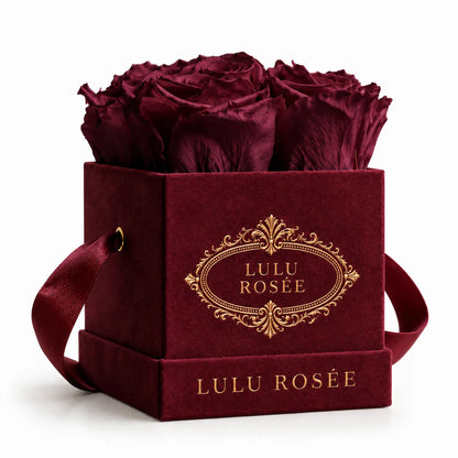Burgundy velvet box with four burgundy preserved roses, on a white background