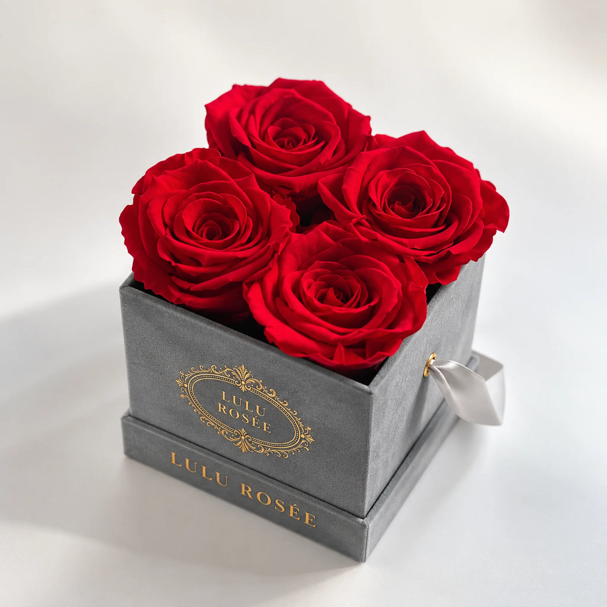 Grey suede box with four red preserved roses, on a white background