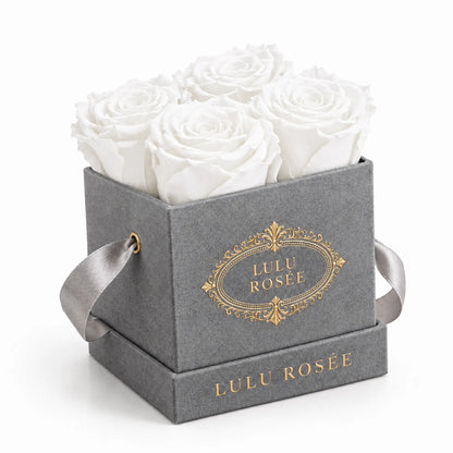 Grey suede box with four white preserved roses, on a white background