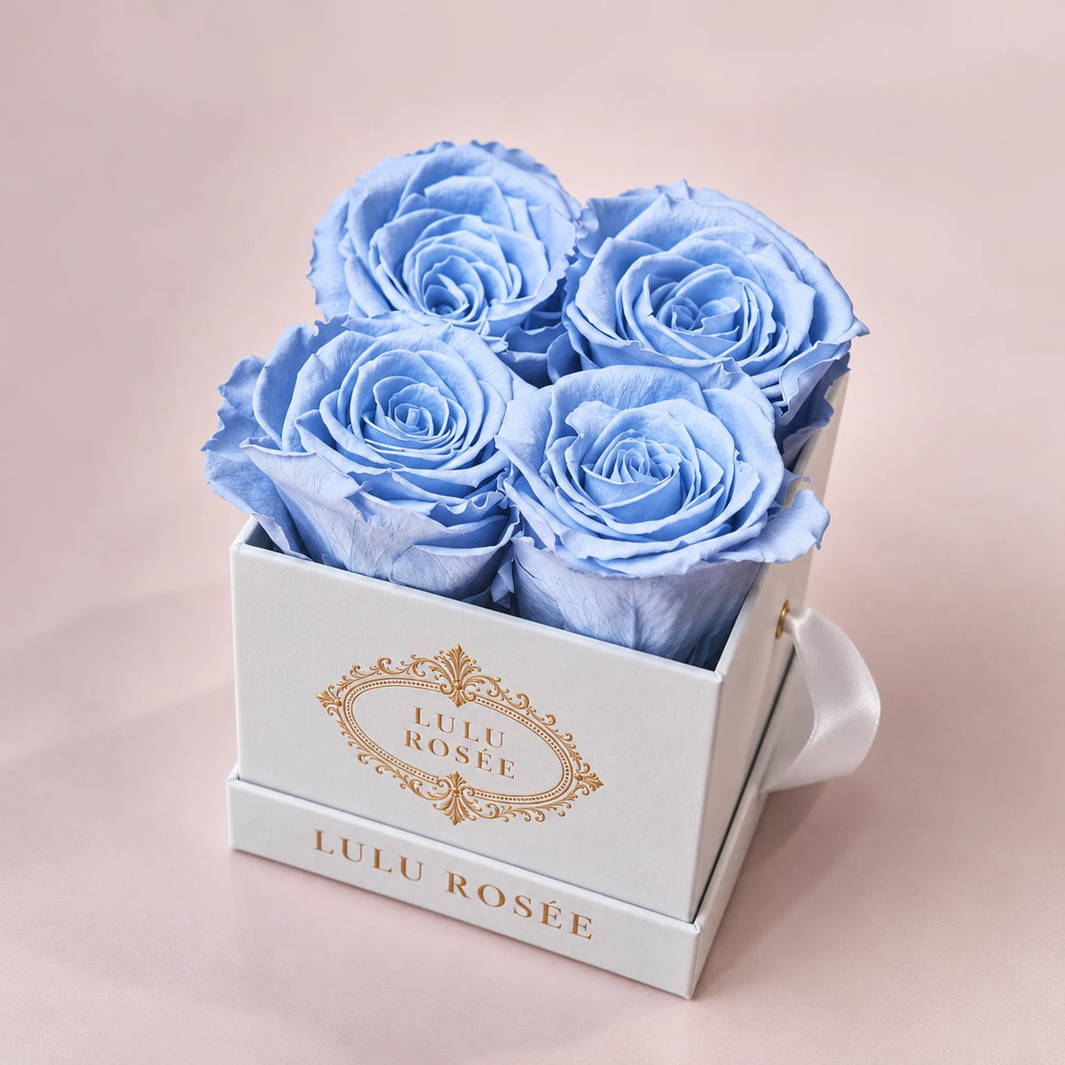 White classic box with four baby blue preserved roses against a soft pink backdrop