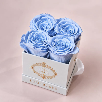 White classic box with four baby blue preserved roses against a soft pink backdrop