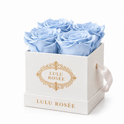 White classic box with four baby blue preserved roses, on a white background