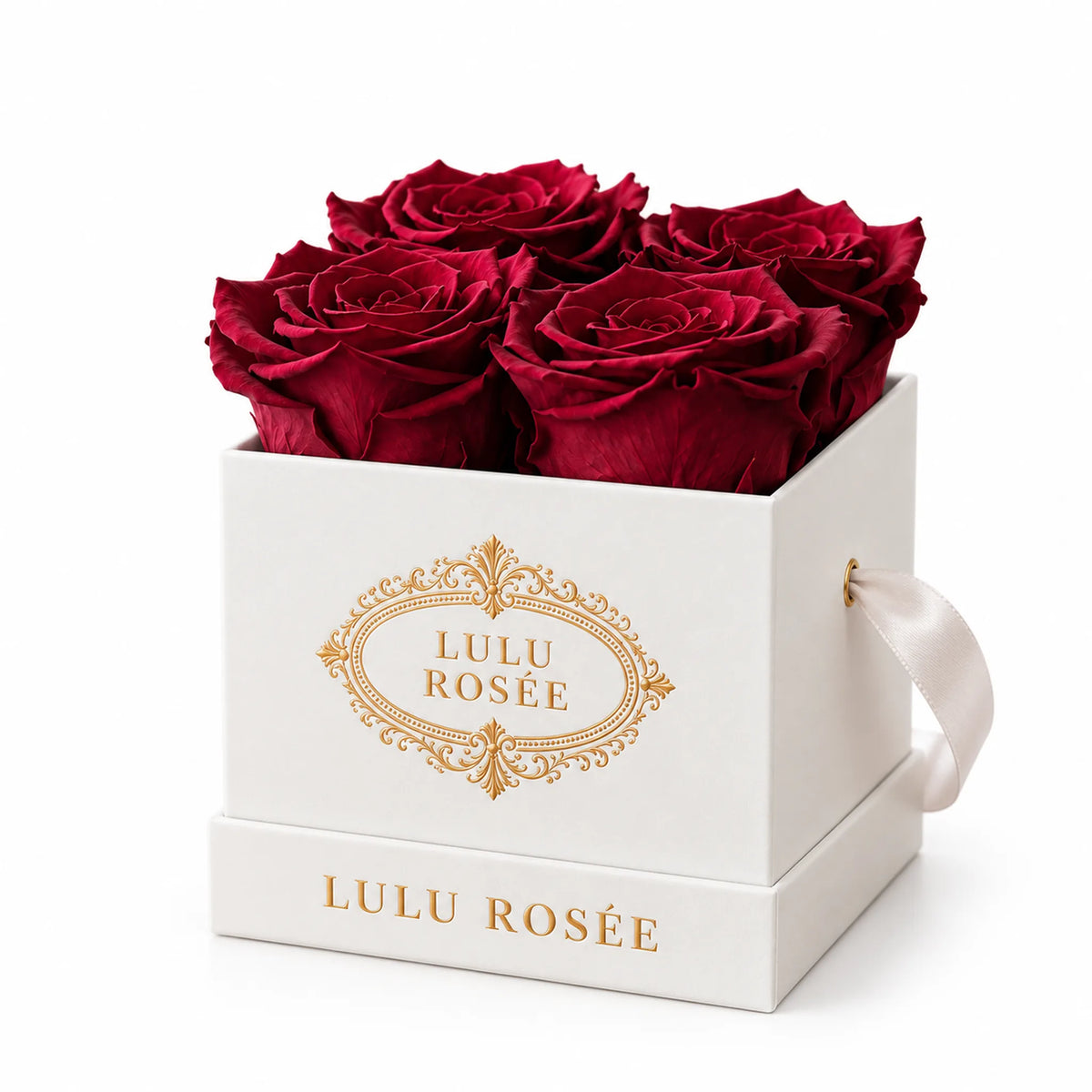 White classic box with burgundy preserved roses, on a white background