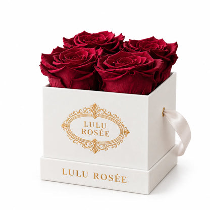 White classic box with burgundy preserved roses, on a white background