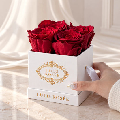 White classic box with red preserved roses, held in a hand