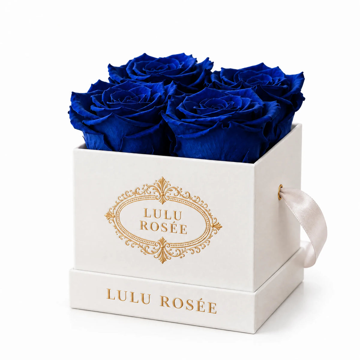 White classic box with four royal blue preserved roses, on a white background