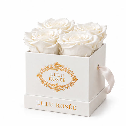 White classic box with four white preserved roses, on a white background