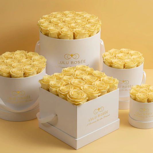 White boxes filled with yellow roses on a yellow background, featuring Lulu Rosee branding.