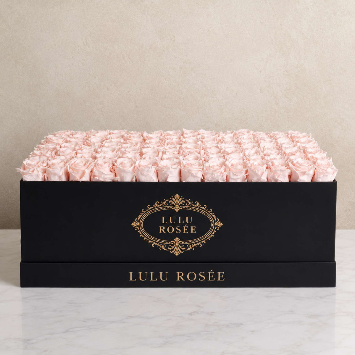 Light pink roses in a Black Classic rose box displayed in a warm interior setting