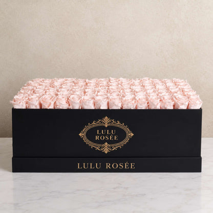 Light pink roses in a Black Classic rose box displayed in a warm interior setting