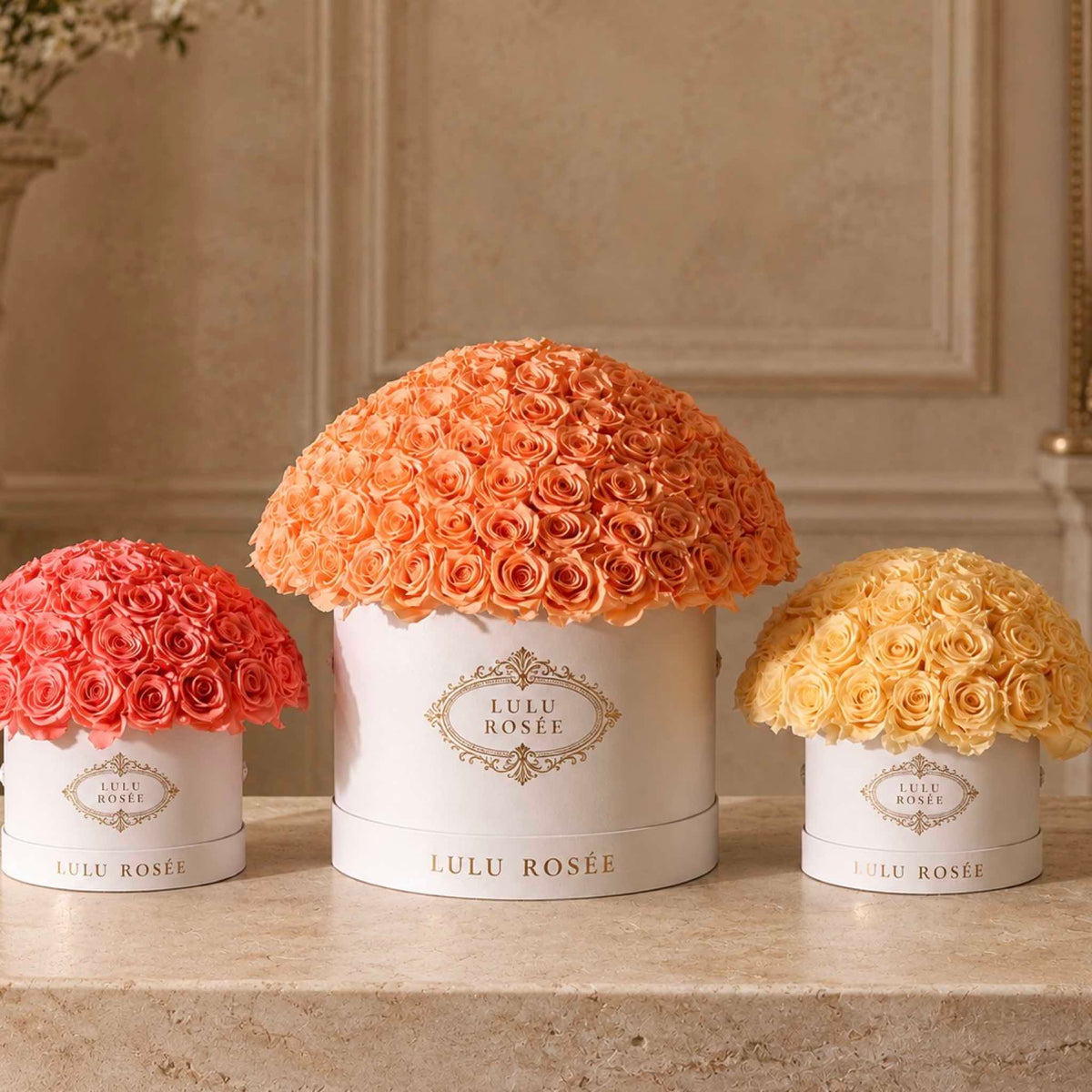 LULU ROSÉE Small Le Plein preserved rose boxes presented in a warm French-inspired interior.