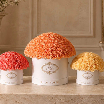 LULU ROSÉE Small Le Plein preserved rose boxes presented in a warm French-inspired interior.