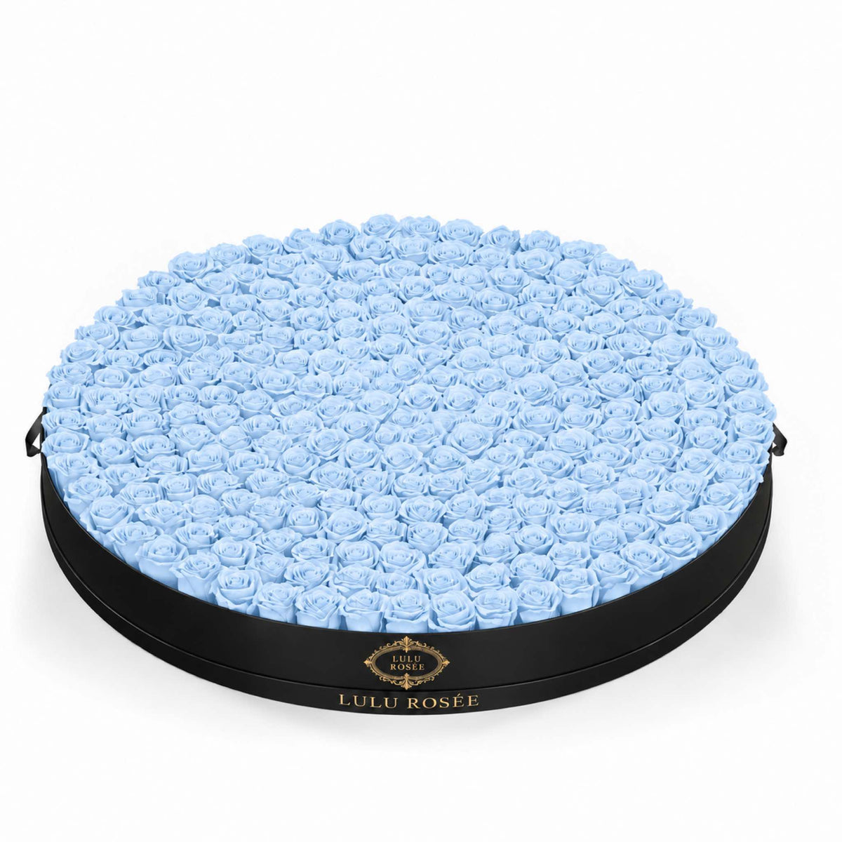 Baby blue preserved roses in a Black Classic Round Grandiose box
